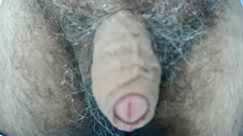 Snapshot of play1891 chatting on 11.04.25 play1891 online show from 11.04.25