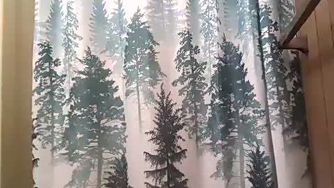 SEX ADDICTION WANNA MEET online show from 12.12.24