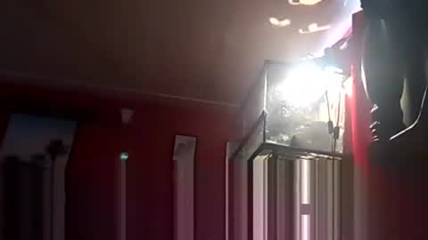 SEX ADDICTION WANNA MEET online show from 12.19.24