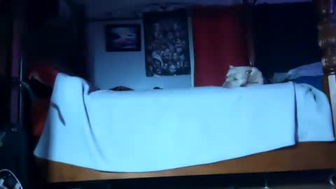 SEX ADDICTION WANNA MEET online show from 01.20.25