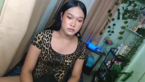 sie online show from 01.12.26