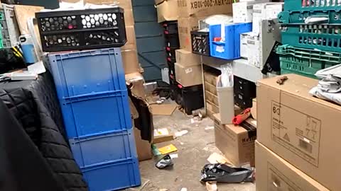 po13o online show from 10.29.25