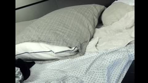 Rocket online show from 03.02.26