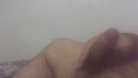 pol2023 online show from 11.12.25