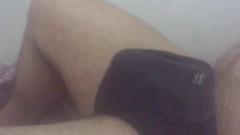 pol2023 online show from 11.19.25