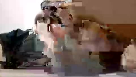 poli online show from 02.27.26