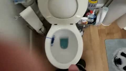 polishx42 online show from 02.02.26