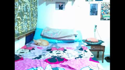 Gian online show from 01.05.25