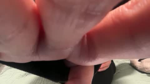 Polly Pocket online show from 11.10.25