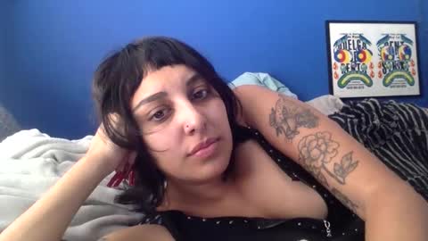 polymamii online show from 03.02.26