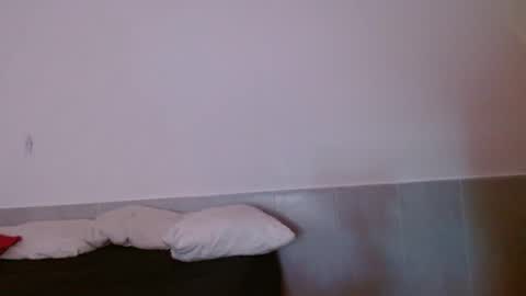 porcelainlux online show from 11.15.25