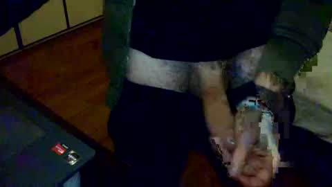 porcellobolognese online show from 01.11.26