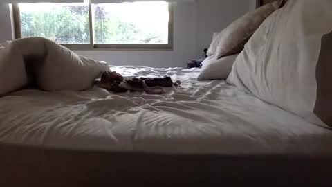 ppsmall_17 online show from 03.27.26