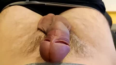 Snapshot of precummilker chatting on 12.13.24 precummilker online show from 12.13.24