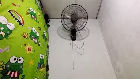 Dinah online show from 12.19.24