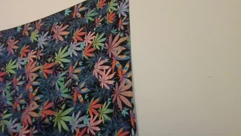 Snapshot of presidentialbryana chatting on 01.19.25 Libra Lamont online show from 01.19.25