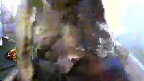 Snapshot of pretty_barbz chatting on 03.08.25 pretty_barbz online show from 03.08.25