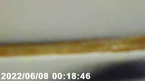 pretty_boy_jack online show from 02.12.25