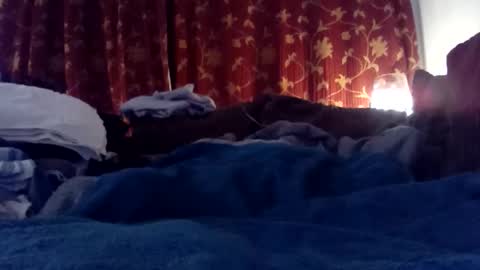 pretty_boy_jack online show from 02.25.25