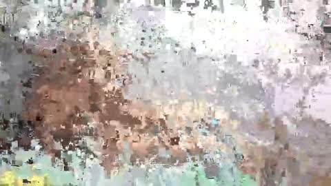 SaraCattra online show from 09.12.25