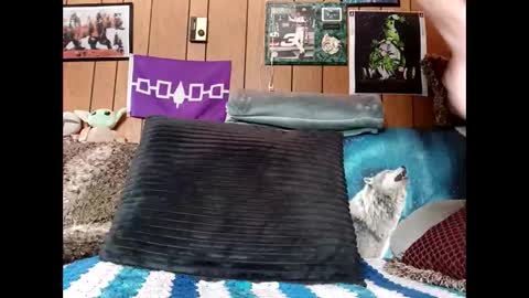 Snapshot of prettysolid7 chatting on 03.22.26 prettysolid7 online show from 03.22.26