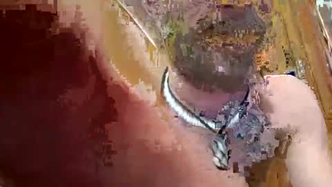 Snapshot of prettysolidd7 chatting on 12.02.24 prettysolidd7 online show from 12.02.24