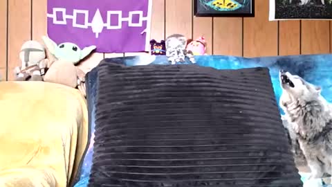 Snapshot of prettysolidd7 chatting on 01.05.25 prettysolidd7 online show from 01.05.25