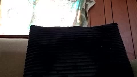 Snapshot of prettysolidd7 chatting on 02.15.25 prettysolidd7 online show from 02.15.25