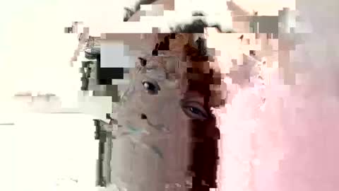 Snapshot of princeassahole chatting on 10.06.25 Princess Asshole online show from 10.06.25