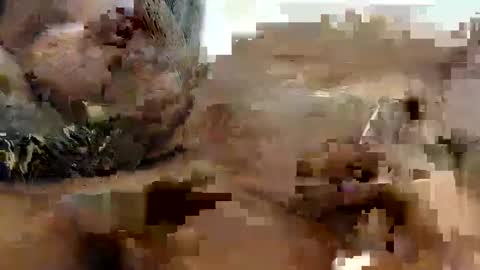 Snapshot of princeassahole chatting on 10.09.25 Princess Asshole online show from 10.09.25