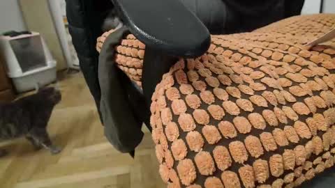 Prince Of Prague online show from 03.02.25