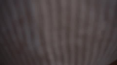 Assi  Incognito girl online show from 02.09.25