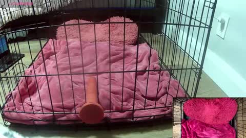 Snapshot of princessjuliaxo4 chatting on 02.03.26 PrIncessJulia0X online show from 02.03.26