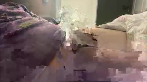 prishpreed23 online show from 03.12.26