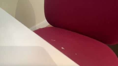 Snapshot of pritchj chatting on 03.10.25 pritchj online show from 03.10.25