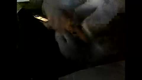 Clothingoptional online show from 12.02.25