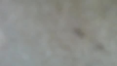 psachno online show from 11.10.25