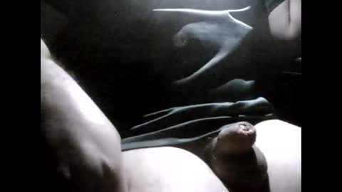 StefiTV1 online show from 03.24.26