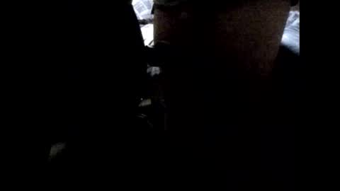 StefiTV1 online show from 04.03.26