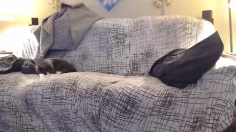 puff0169 online show from 02.12.26