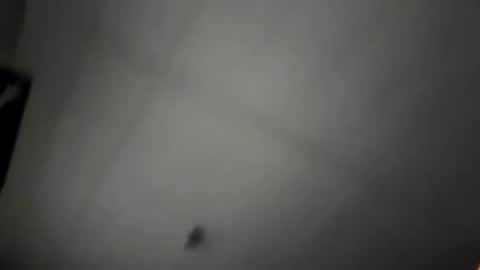 pufftropica online show from 01.07.26