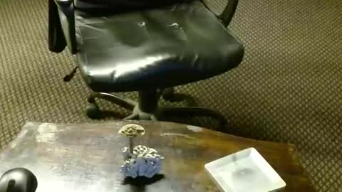 Jojo online show from 10.16.25