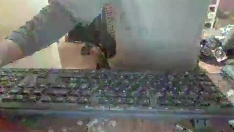 pup_y online show from 12.14.25