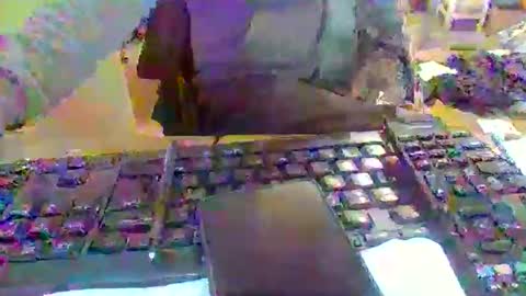 pup_y online show from 12.16.25