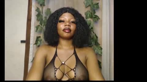 stella online show from 02.10.26