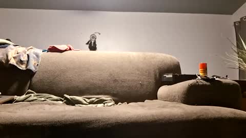 pussylicker517038 online show from 04.20.26