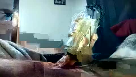 Pussyluver420 online show from 10.01.25