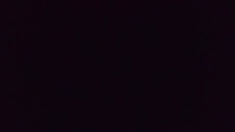 pwall23 online show from 03.03.26