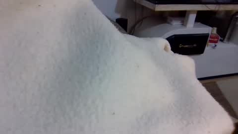 queen014 online show from 12.02.25