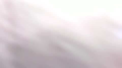   online show from 03.06.25